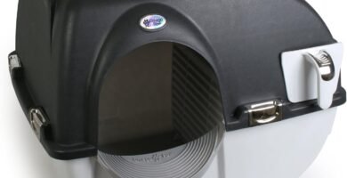 Caja de arena semiautomática