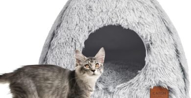 Productos para gatos 🐾😺 272 Cama cesta para gatos