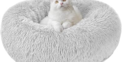 Productos para gatos 🐾😺 271 Nepfaivy Cama para Gatos