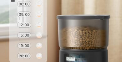 comederos automáticos programables dispensador de comida