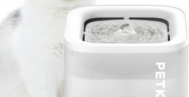 fuentes de agua automáticas