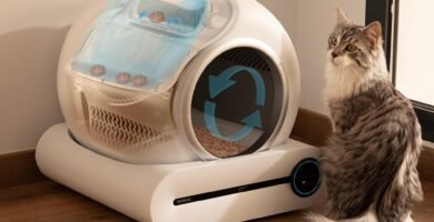 cómo funciona arenero autolimpiable