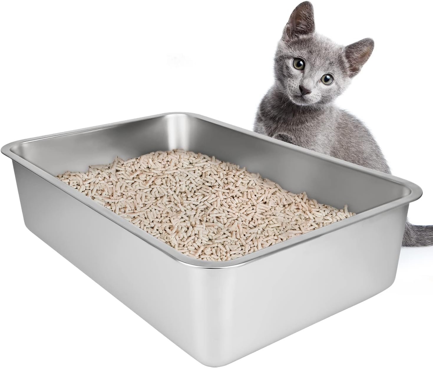 Arenero para gatos: cómo elegir el mejor (2025) 1 arenero de acero inoxidable