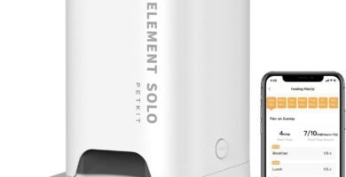 comedero programable