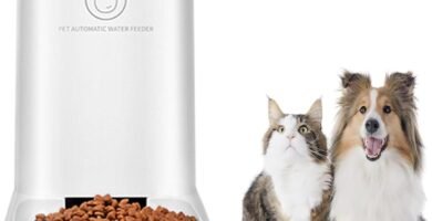 comedero por gravedad