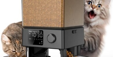 comedero programable doble platillo para 2 gatos