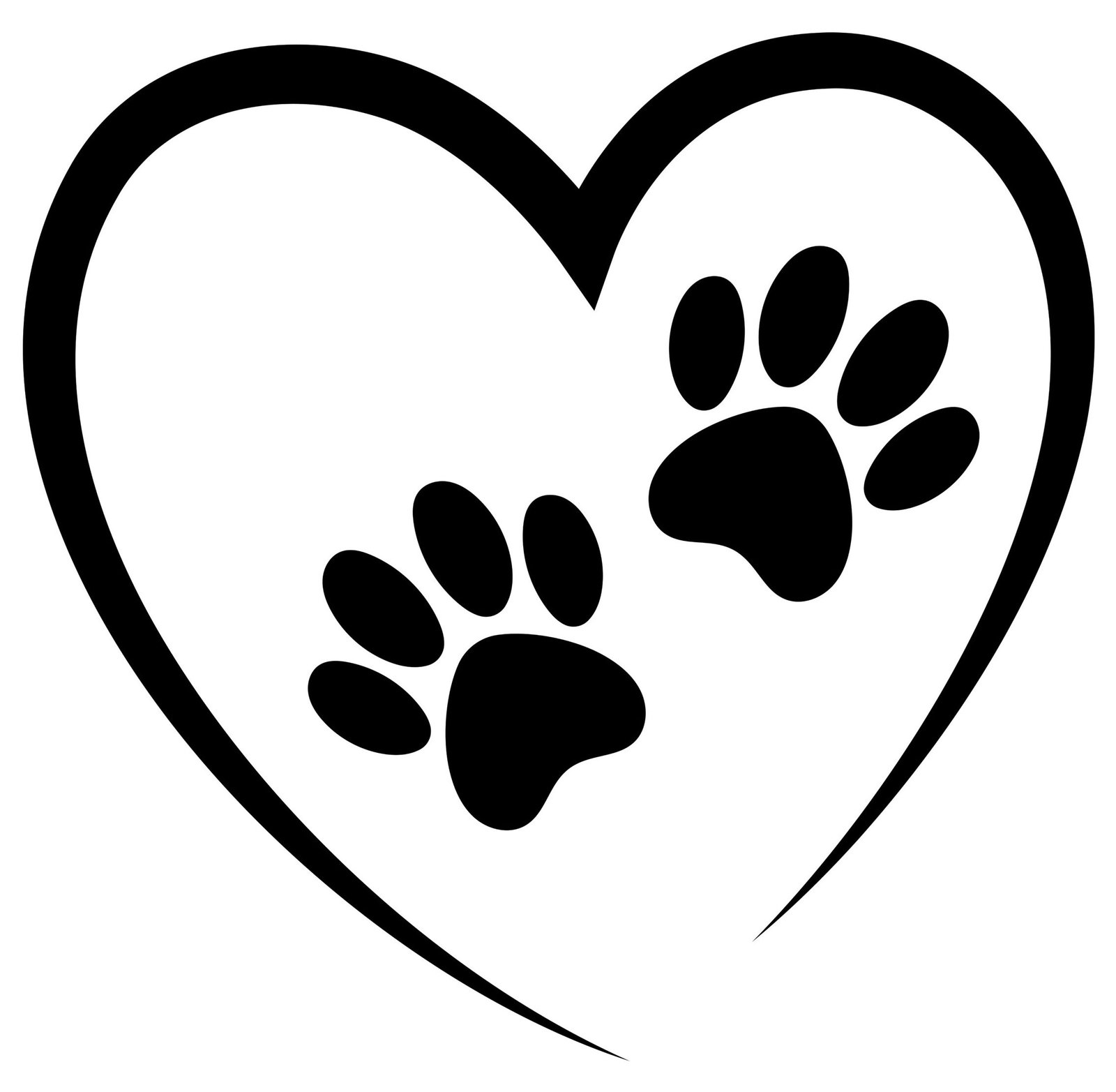 productos para gatos